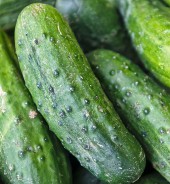 Огурцы короткоплодные грунтовые, весовые Огурцы короткоплодные грунтовые, весовые