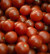Томаты розовые Фермерские, весовые, Россия